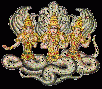 indiani,mitologia,mitologia indianaq,naga,nagas,donna serpente,uomo serpente,divinità,divinità indine.